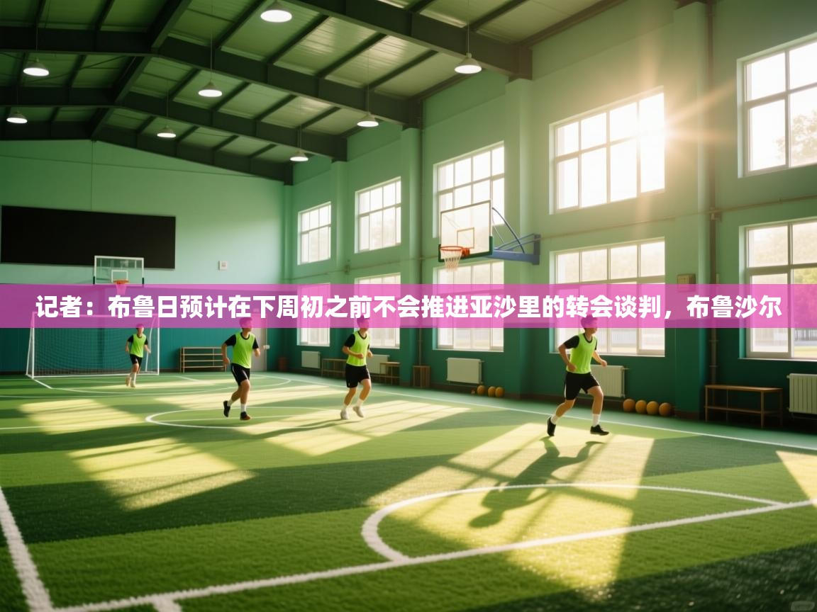记者:布鲁日预计在下周初之前不会推进亚沙里的转会谈判,布鲁沙尔 第2张